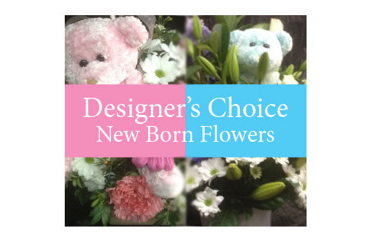 New baby 15 - Designers choice for new baby choose pink blue or yellow neutral $39.95 Same day Tulsa flower delivery can deliver to home or hospital Saint Francis Hillcrest St. John's OSU Delivering to all Tulsa hospitals #spring #birthday #MothersDay #roses #flowers #samedaydelivery #Newbaby #maternity #Congratulations  #it'sagirl #it'saboy #welcomebaby