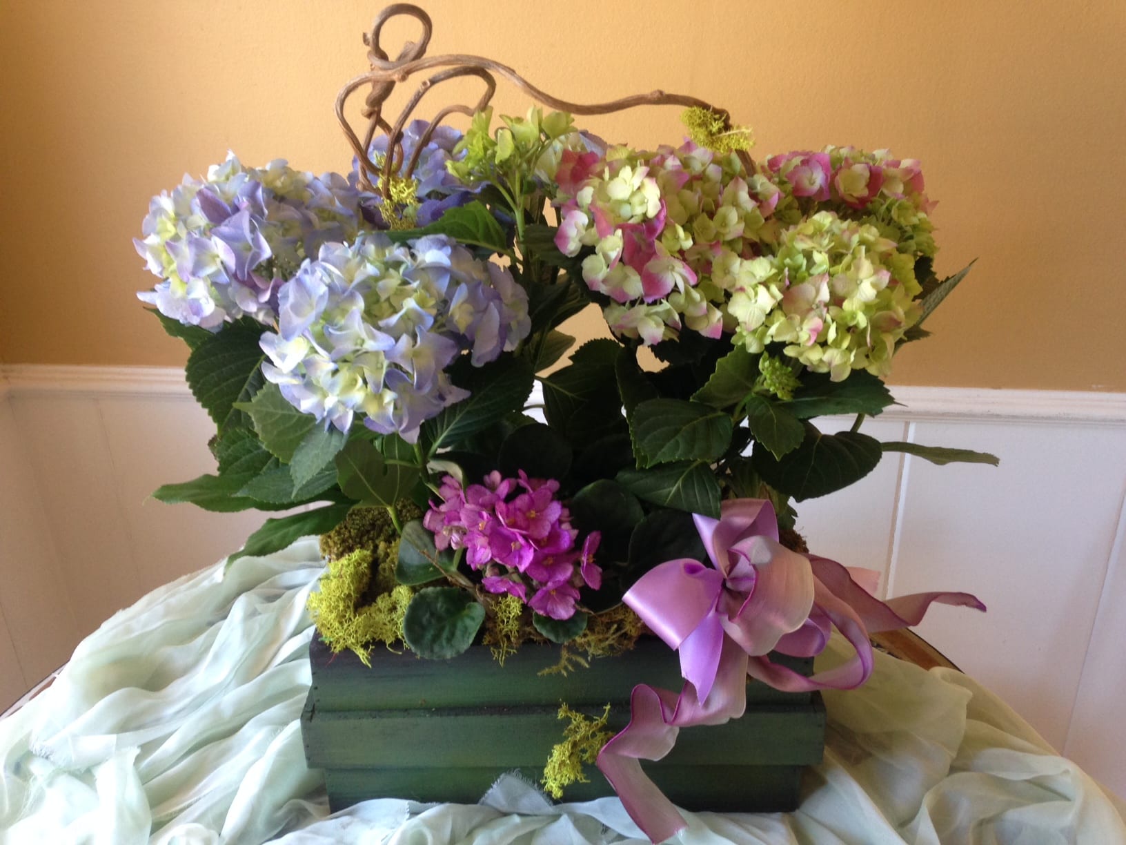 Hydrangeas in a Box Hydrangeas in a Box - Lavish purple and hot pink Hydrangeas with Violets planted in a stylish box with moss and a twisted French ribbon. Comparable substitutes will be used for seasonal flowers.