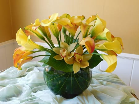 Yellow hotsell calla lily