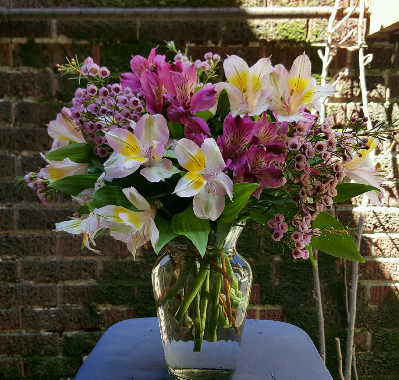 Mixed Alstroemeria vase - A mixed colored vase arrangement of alstroemeria, filler flowers &amp; greens. This smaller sized vase could easily set on a desk or table. If you are wanting certain colors, please let us know.