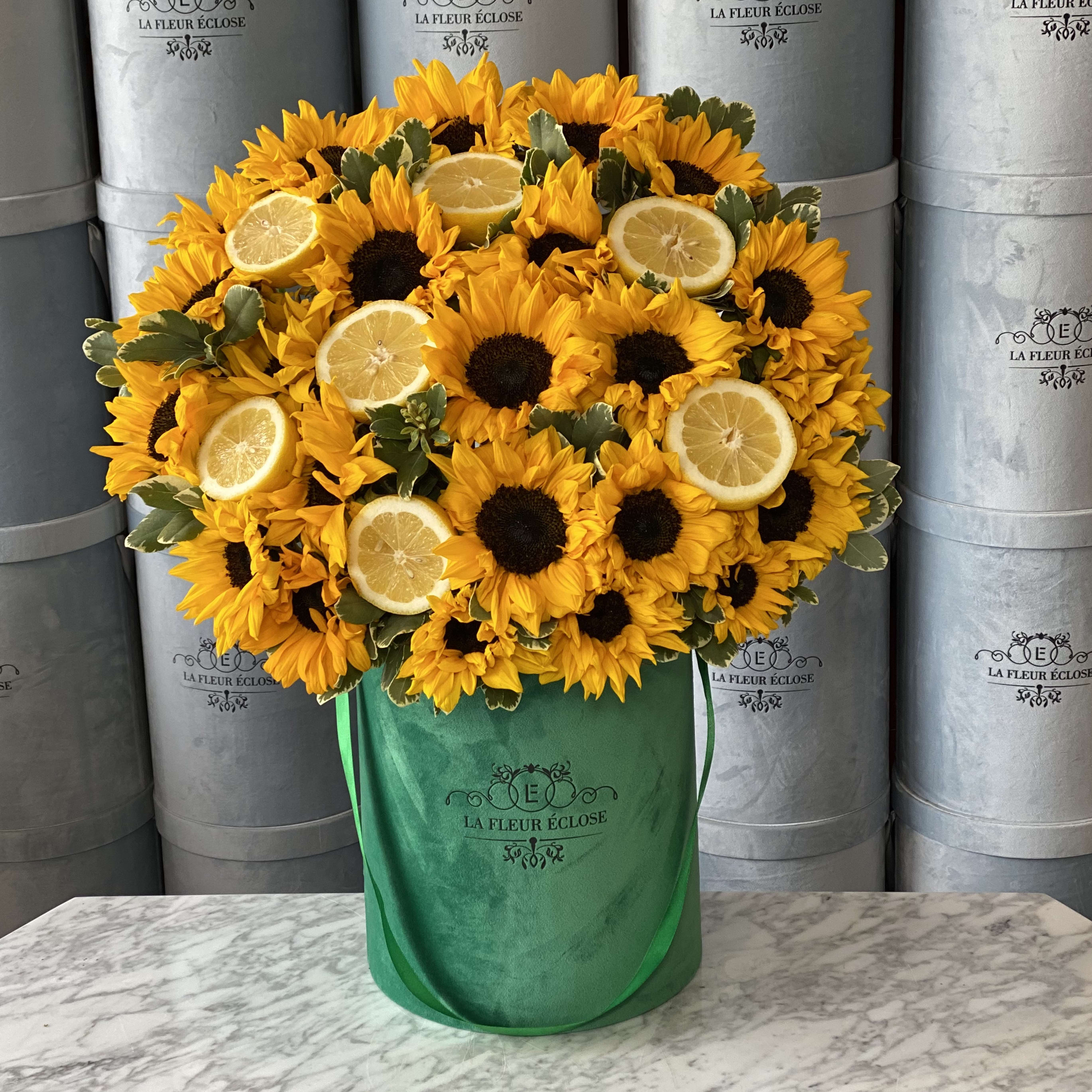 Phoenix Sun in Encino, CA La Fleur Eclose