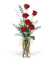 Love Struck - Half Dozen Red Roses With Spiral Eucalyptus in a cylinder vase 