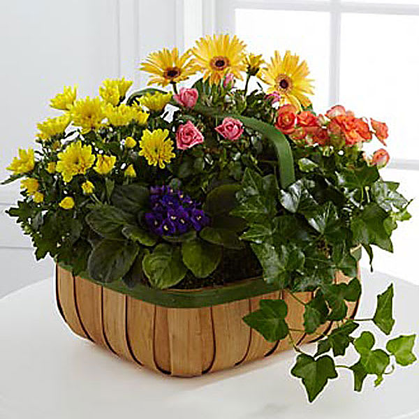 The FTD Gentle Blossoms Basket in Midland, MI Lapelle's Flowers & Gifts