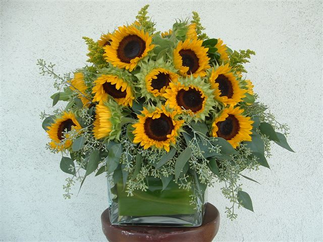 Sunflower Box - Enter description here