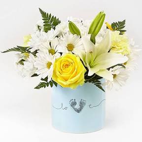 Baby Boy Bouquet in Midland, MI | Lapelle's Flowers & Gifts