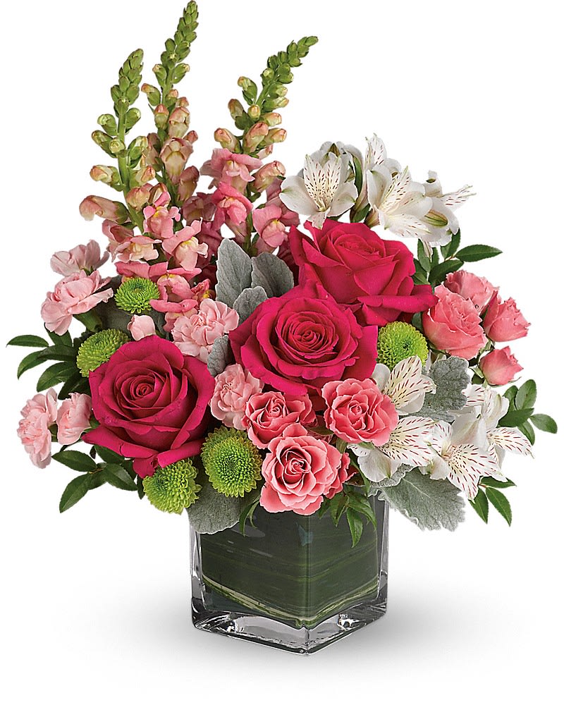 Teleflora's Garden Girl Bouquet - Fun and feminine this hot pink bouquet is reminiscent of a spring garden party with friends! Stunning roses delicate alstroemeria and dramatic snapdragons are hand-delivered in a classic cube vase lined with a green leaf - a surprise gift that'll touch her heart no matter the occasion. Hot pink roses pink spray roses white alstroemeria pink miniature carnations green button spray chrysanthemums and pink snapdragons are arranged with dusty miller huckleberry and variegated aspidistra leaf. Delivered in a clear cube vase.