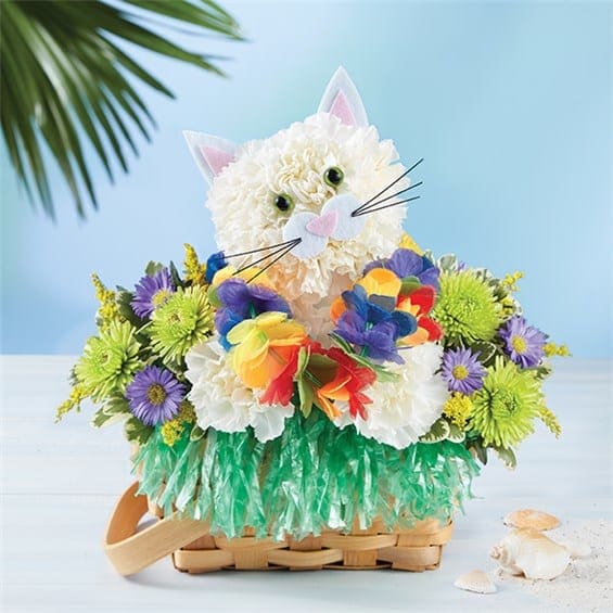 1-800-Flowers® Luau Kitty™ in Bremerton, WA | Flowers D'Amour