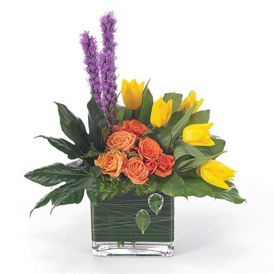 Contemporary Expressions - This colorful and contemporary arrangement of yellow tulips, orange roses, green trachelium and purple liatris in a glass rectangle vase is a memorable way to express warm sentiments. Measures 17&quot;H by 14&quot;L. *Tulips may be substituted for similar color and value during the months of May thru October.