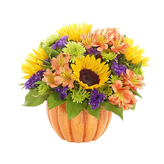 Harvest Pumpkin - Celebrate a bountiful harvest of beautiful blooms! Sunflowers, alstroemeria, athos and statice are artfully arranged in a shiny glazed pumpkin planter, creating the perfect fall and Thanksgiving accent for any home. Measures 11”H X 12”L. Suggested Retail Price: $54.99.