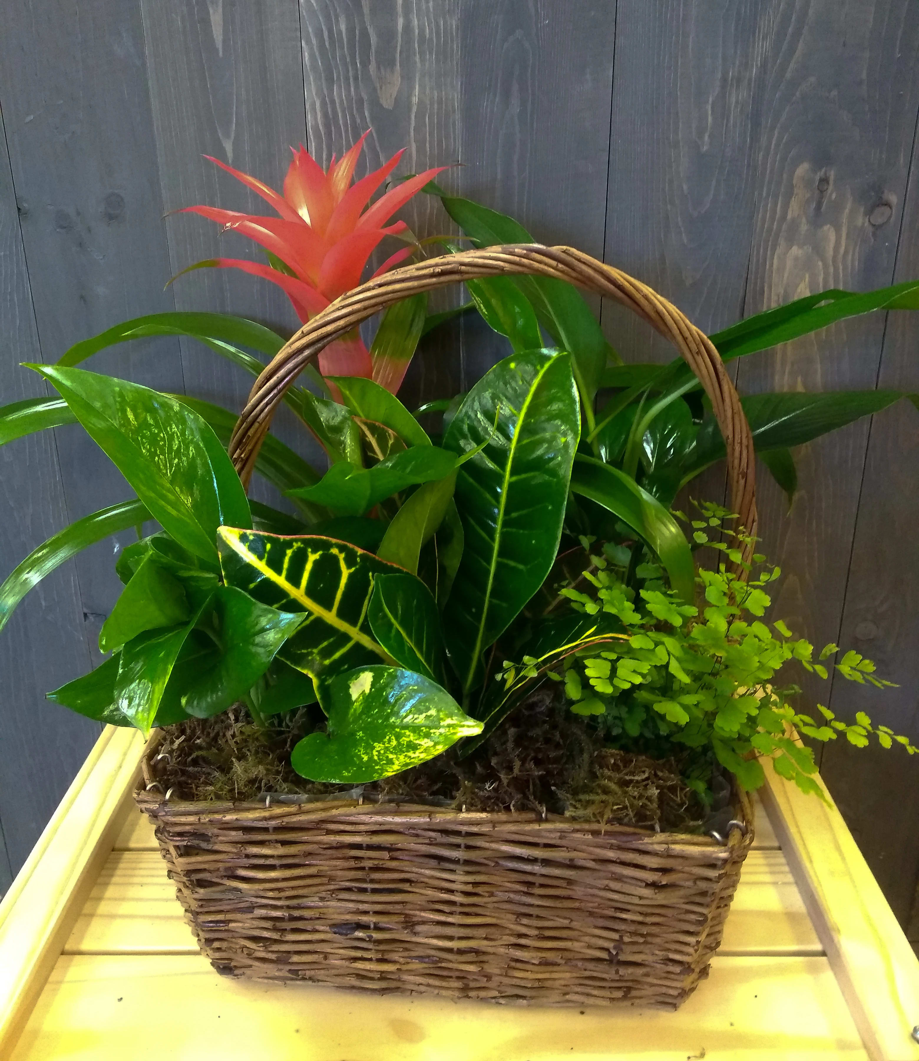 Medium Mixed Planter in Simi Valley, CA | Michael's Flowers