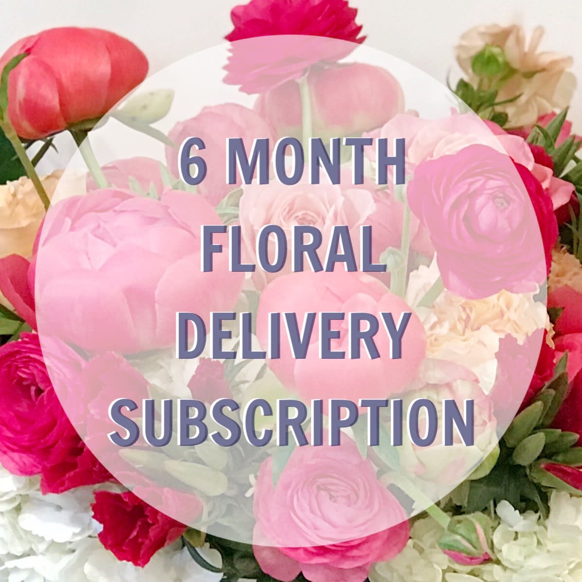 6 Month Floral Delivery Subscription Seattle In Seattle Wa Maxine S Floral Gift When sending a sympathy flower delivery, it's important to consider the types of flowers and the it's very easy to send a sympathy flower delivery online from the internet. 6 month floral delivery subscription seattle in seattle wa maxine s floral gift