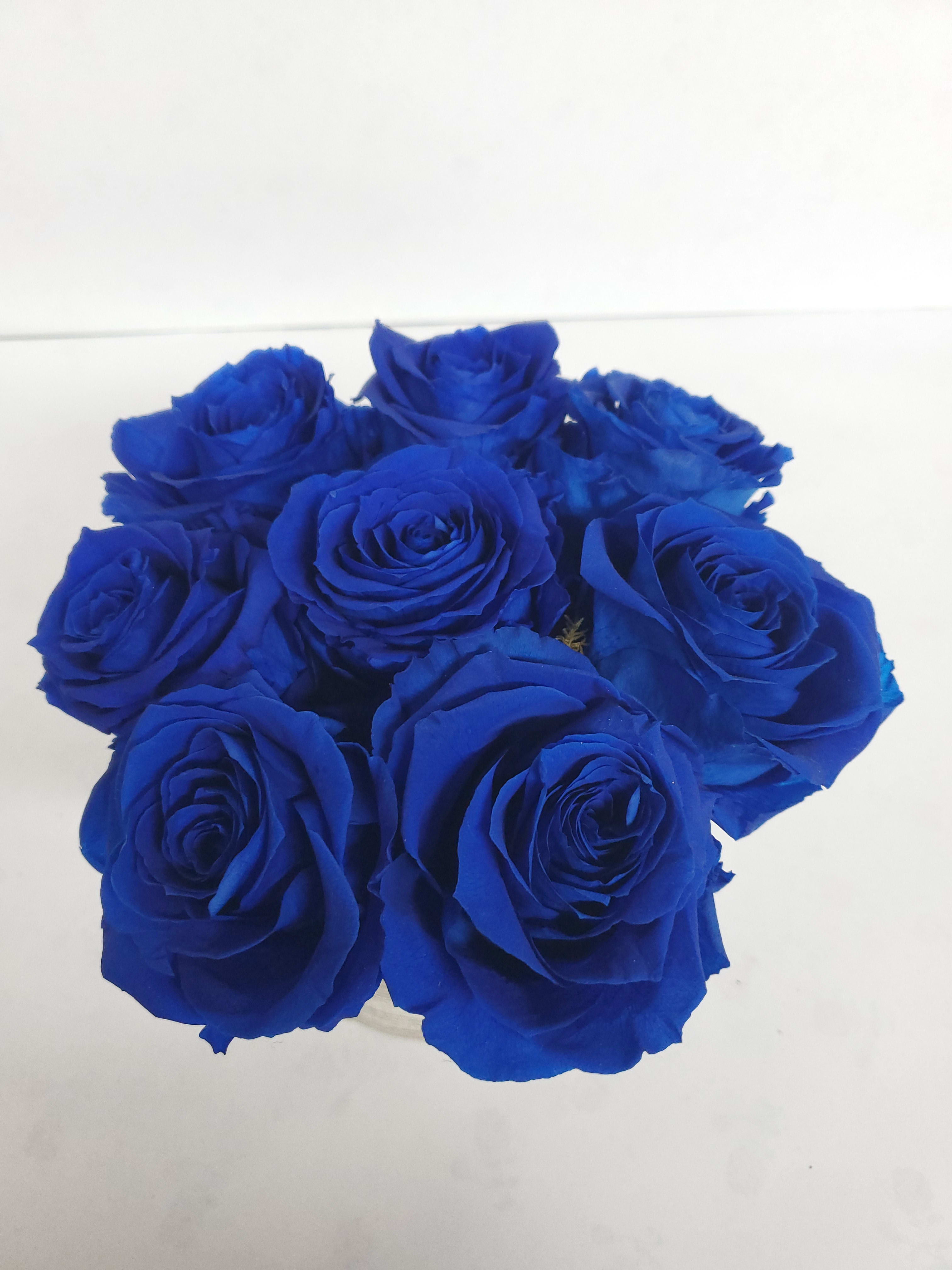 Preserved Roses Royal Blue By Worldtheroses Com