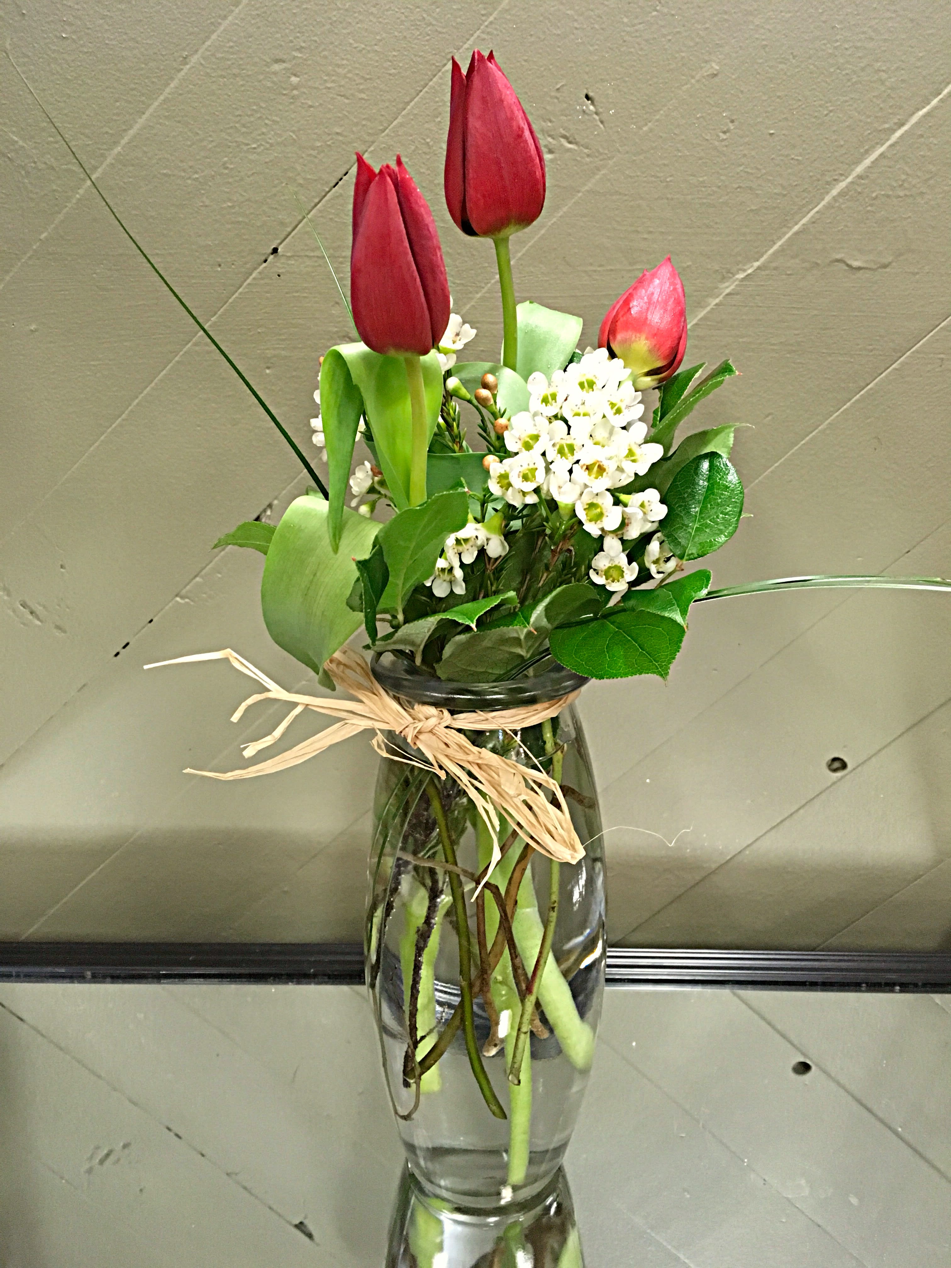 Tulip Trio in Springfield, MO Wickman's Garden Village