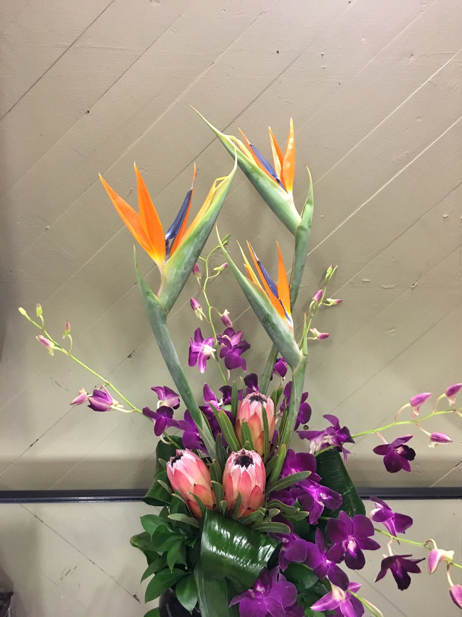 Tropical Touch in Springfield, MO | Wickman's Garden Village