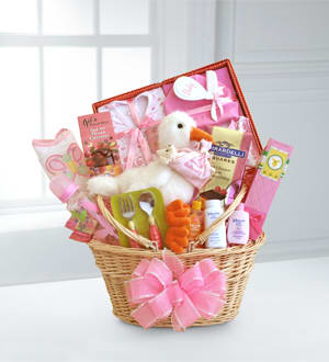 stork basket