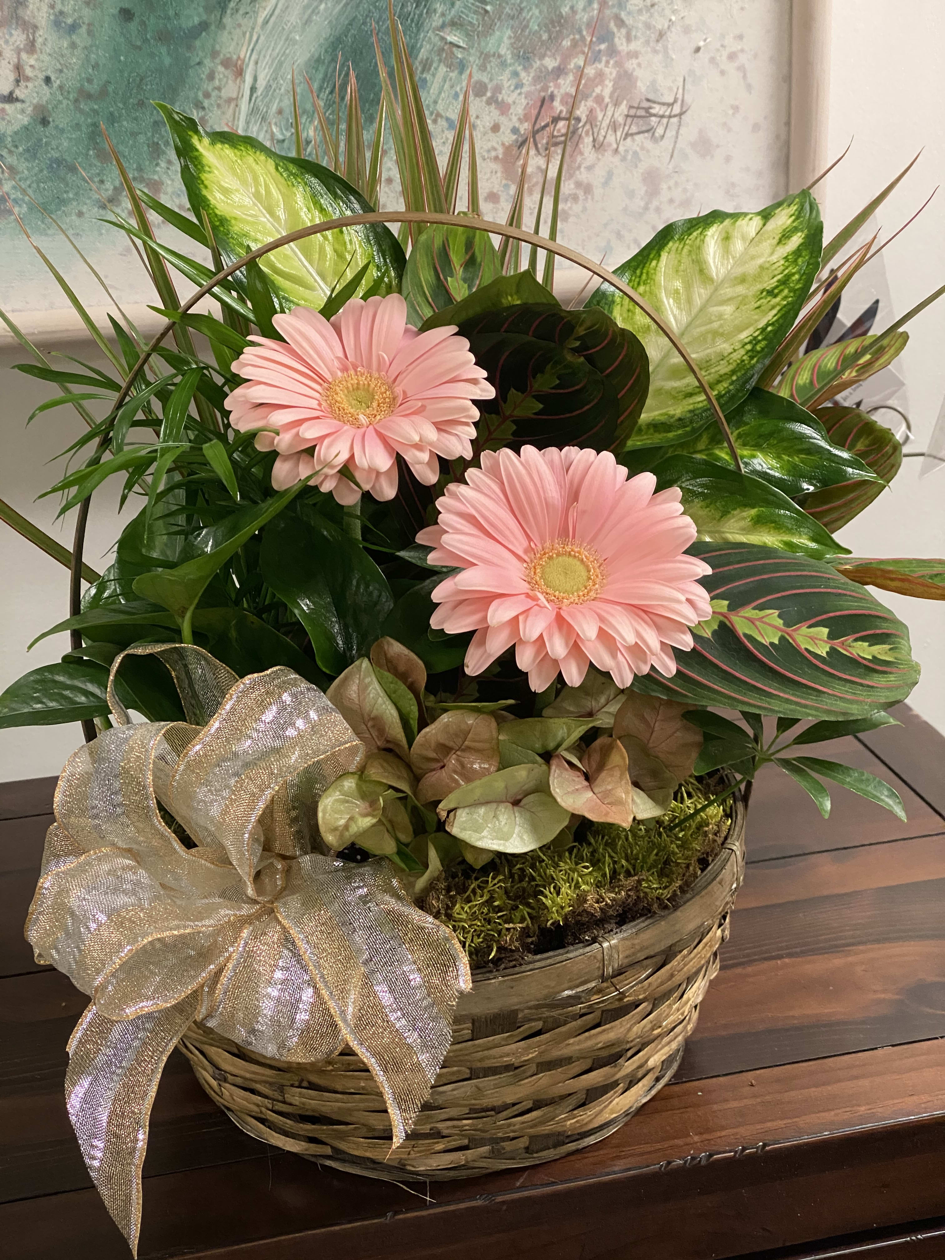 Dish Garden with Fresh Cuts in East Rochester, NY | The ...