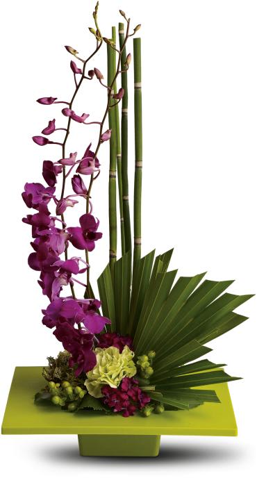 Zen Artistry -  Artistry, indeed. Looking more like modern sculpture than a floral arrangement, this striking bouquet surprises with delicate purple orchids, mini bamboo and a colorful mix of blooms - sure to improve any room's feng shui.  A kiwi-colored square dish presents an arrangement of purple dendrobium orchids, green carnations, dark pink Sweet William, green hypericum, an emerald palm leaf, bamboo-like equisetum, galax leaves and sheet moss. 
