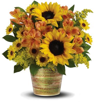 Grand Sunshine Bouquet -   Send sunshine! Nothing brightens their day like a warm mix of golden sunflowers and orange alstroemeria. A unique gift they'll never forget, this sunshine bright bouquet is hand-delivered in our exclusive ceramic cachepot-a magnificent, multi-glazed piece made in Portugal.  This sunny bouquet is made up of orange alstroemeria, small yellow sunflowers, yellow Viking daisy spray chrysanthemums, solidago and lemon leaf. 