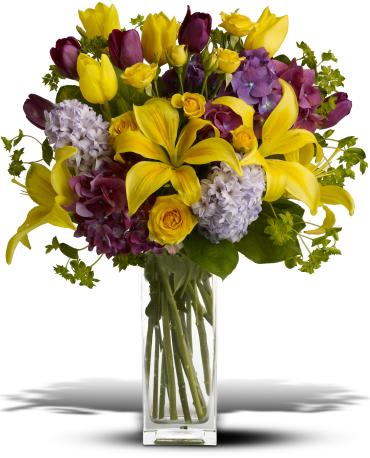 Spring Equinox -       Celebrate the dawn of a new season with this fresh burst of color. A wide assortment of bright yellow and purple blooms are delivered in a statement vase - perfect for the spring or summer transition.  Yellow flowers, including asiatic lilies, roses and tulips, are joined with the pretty purple blooms of hydrangea, tulips and hyacinth. 