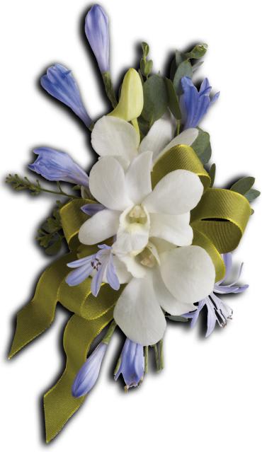 Blue and White Elegance Corsage -  Reach for the sky with blue agapanthus and white dendrobium orchids. 