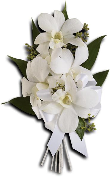 Graceful Orchids Corsage -   Breathtaking white dendrobium add an exotic, elegant touch.  White dendrobium orchids with seeded eucalyptus and Italian ruscus. 