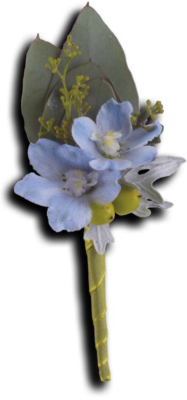 Hero's Blue Boutonniere -   Light blue delphinium echoes the blue skies ahead.  Light blue delphinium, green hypericum, dusty miller and seeded eucalyptus in a green taffeta ribbon. 