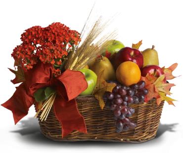 Fresh Picked -  A healthy fall harvest! Send this bountiful basket as a fall get well gift or seasonal home decoration that's as fun to look at as it is to eat! This basket of fresh fruit is accented with a potted orange kalanchoe plant and autumnal elements including oak leaves, wheat and red taffeta ribbon.  A natural oval basket presents an assortment of fresh fruit including 2 brown pears, 2 red apples, 2 green apples, 2 tangerines and a bunch of red grapes. 