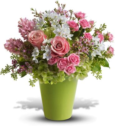 Enchanted Blooms -   Send someone on a walk through an enchanted English garden with this country style arrangement! Delicate textures, feminine flowers and soft pinks give it a shabby chic look she'll love!  A lush variety of spring flowers - green hydrangea, pink roses, white narcissus, pink hyacinth and pink waxflower - are gathered into a pale green vase with touches of salal and seeded eucalyptus. 