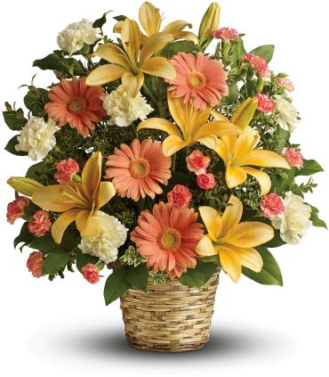 Soft Sentiments Bouquet -   Lush flowers to celebrate a full life. This beautiful basket of blooms for a memorial service or home evokes the beauty of life with peach lilies, peach gerberas and crme carnations.  This sentimental favorite features peach asiatic lilies, peach gerberas, crme carnations and minature orange carnations with fresh green oregonia and lemon leaf. 