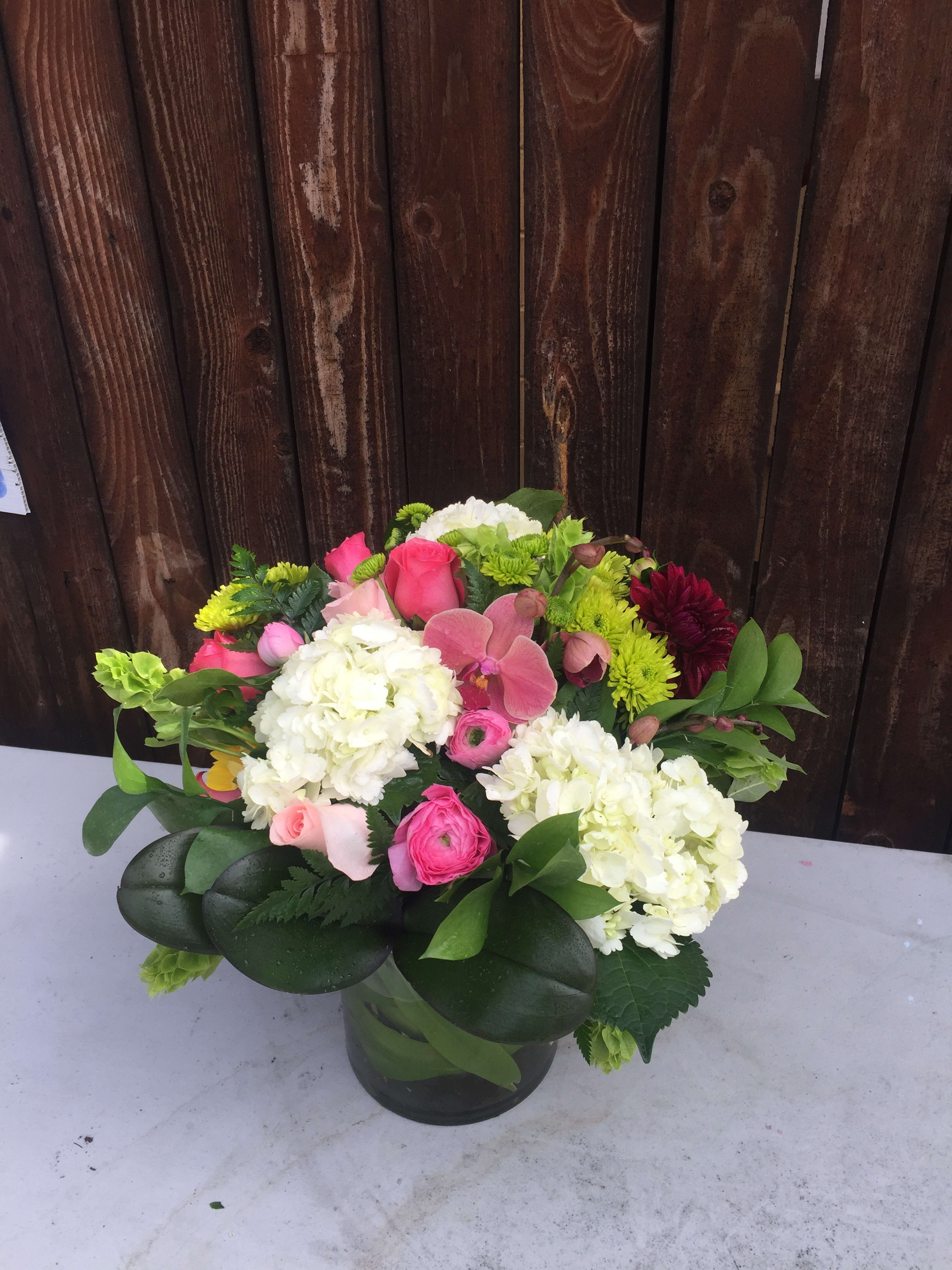 STAR OF THE SHOW - AN ABUNDANTS OF BEAUTIFUL BLOOMS EMBRACING THE ORCHID. 