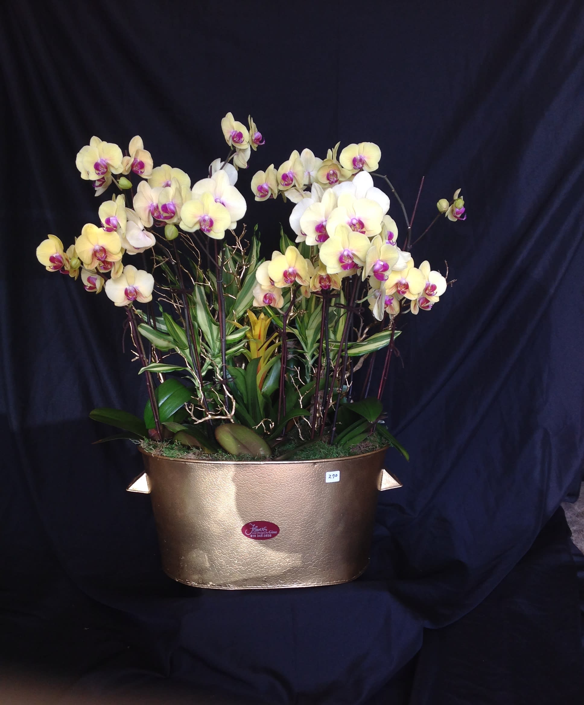 orchid arrangement 13 orchid arrangement 13 - orchid arrangement 13
