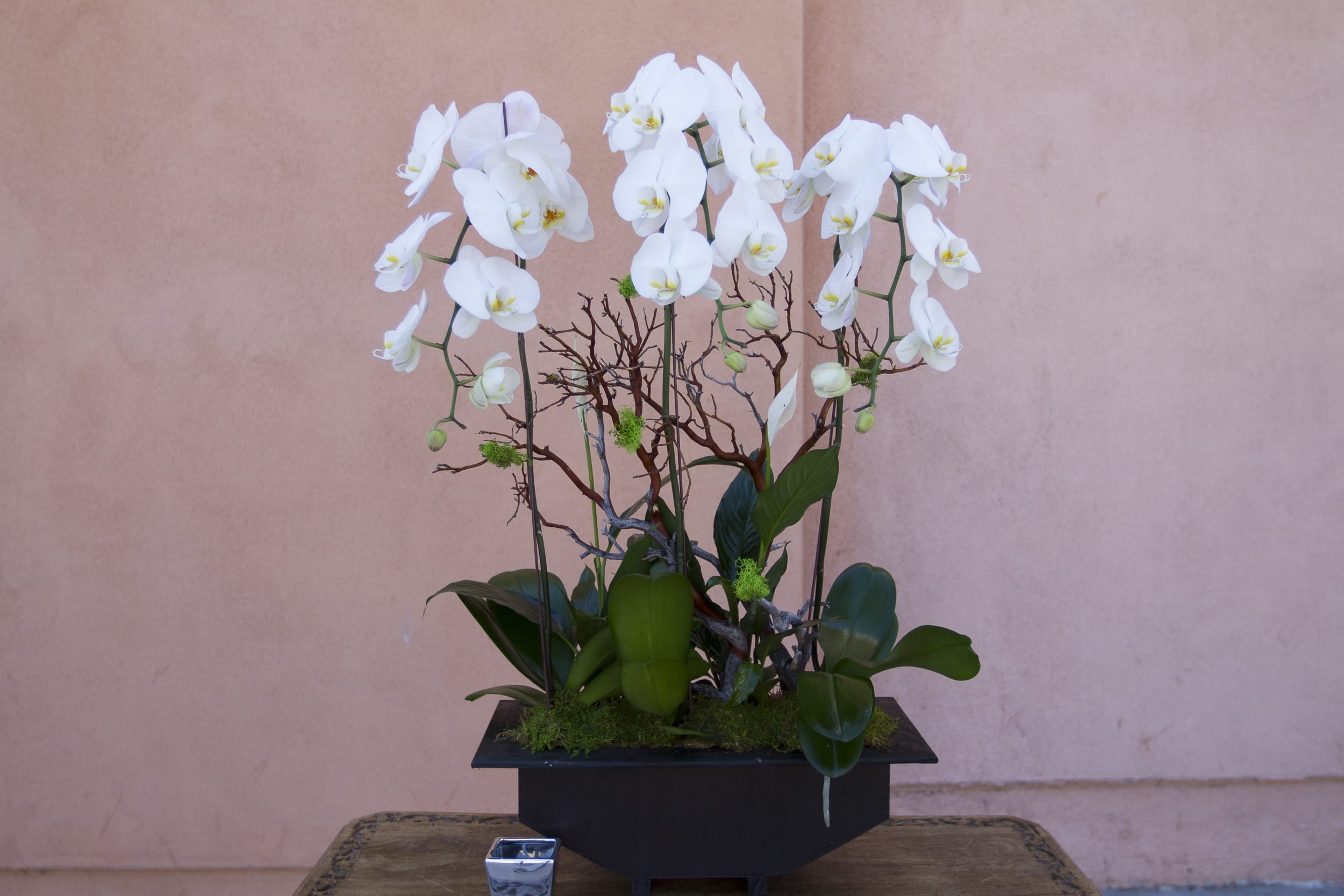 orchid arrangement 14 orchid arrangement 14 - orchid arrangement 14