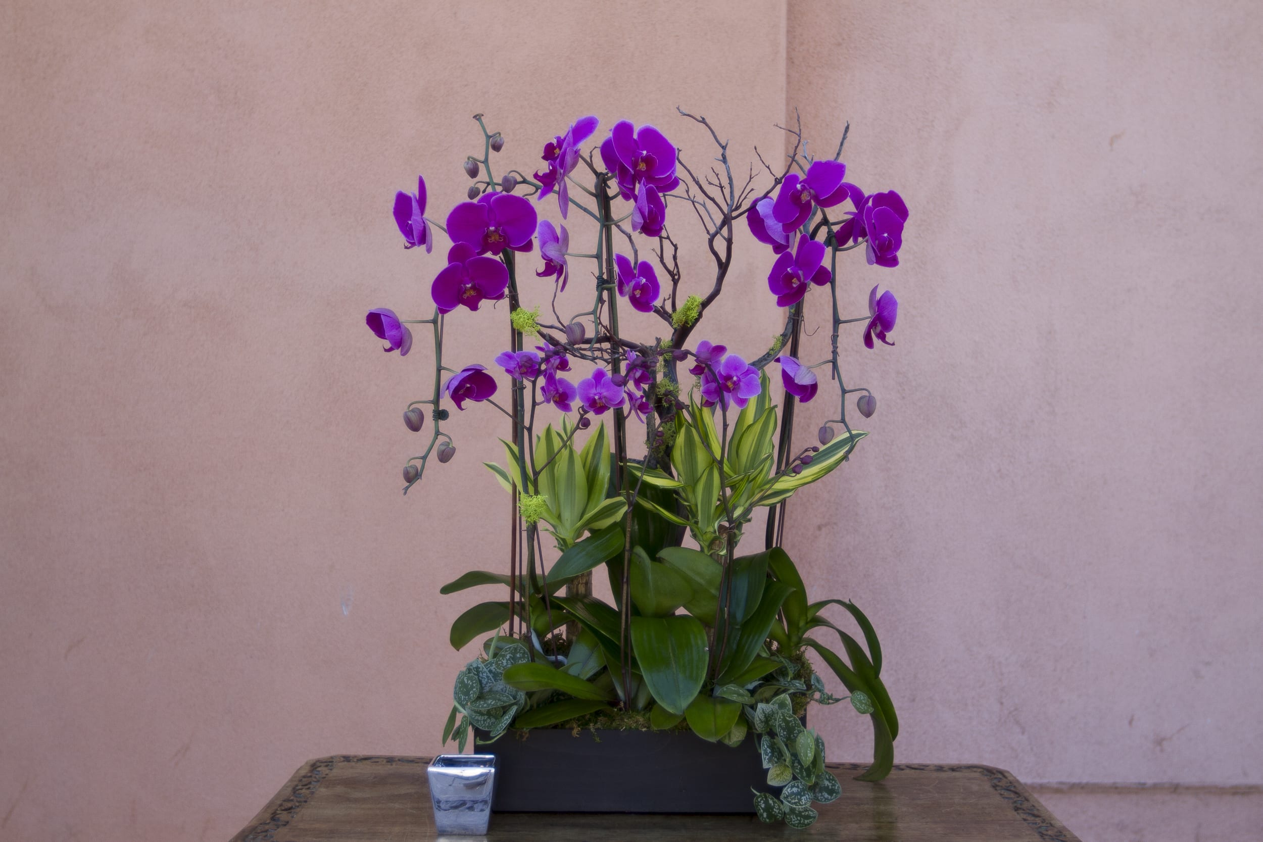 orchid arrangement 16 orchid arrangement 16 - orchid arrangement 16