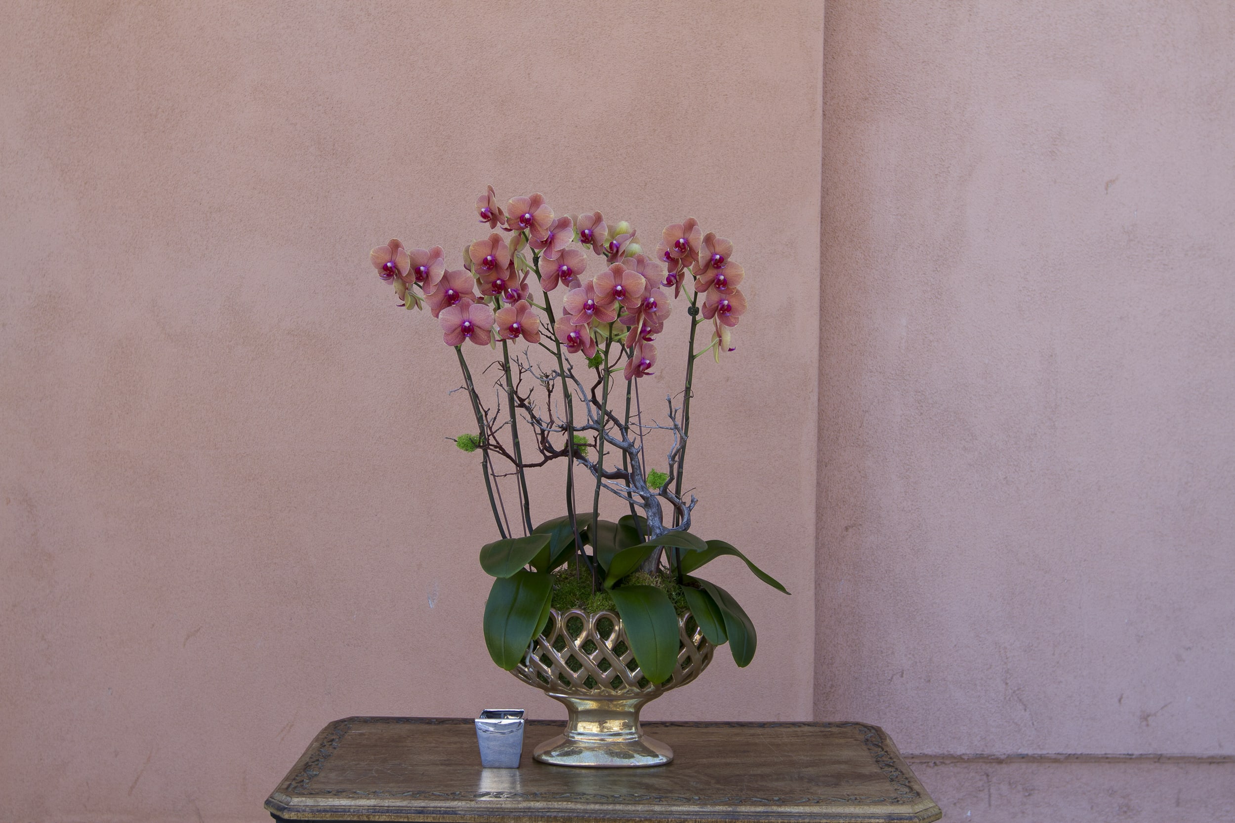 orchid arrangement 30 orchid arrangement 30 - orchid arrangement 30