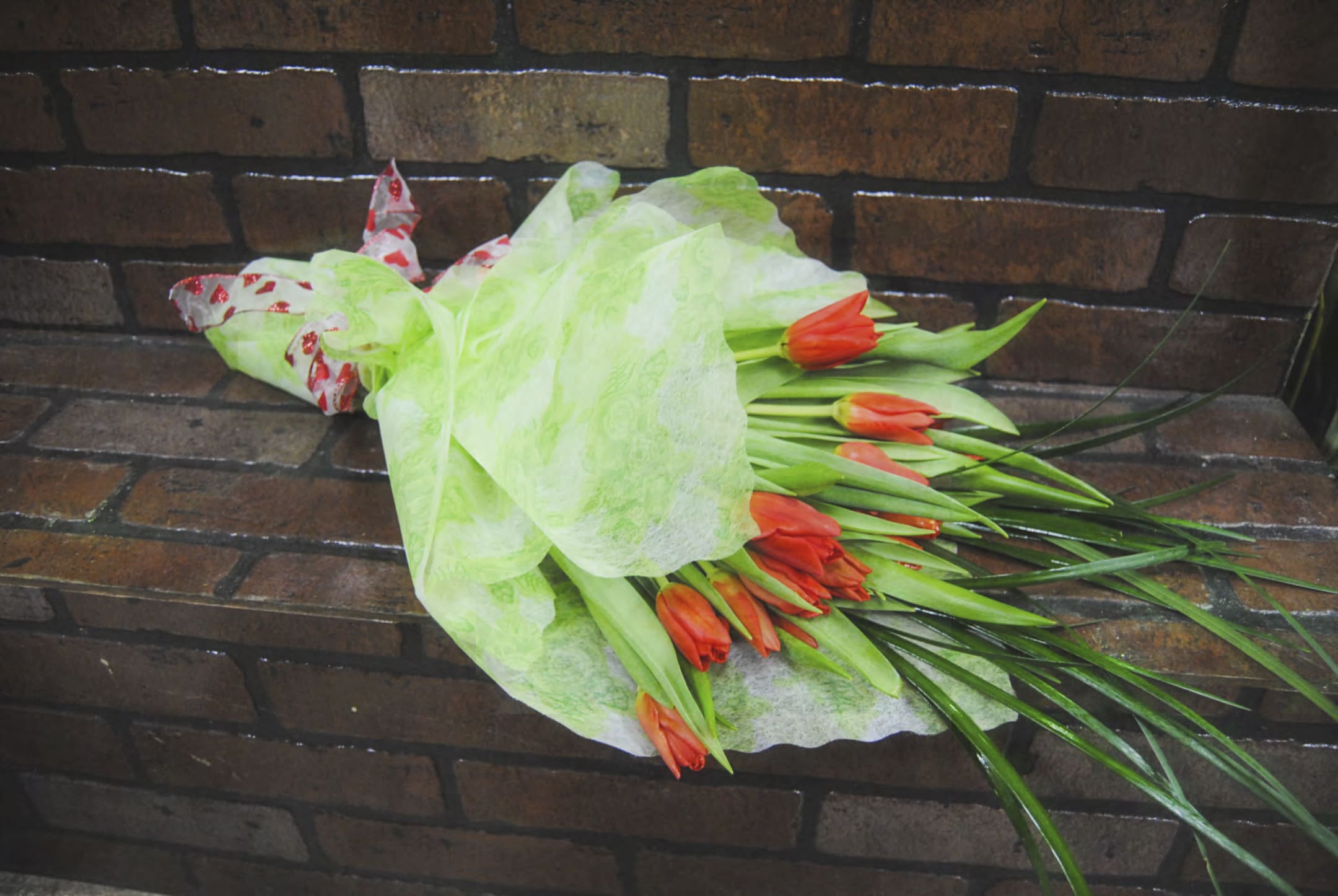 Valentine's Day #5 - Valentine's Day #5