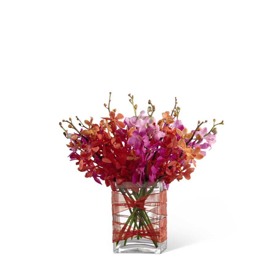 The FTD Perfect Harmony Bouquet - The FTD Perfect Harmony Bouquet is a bright burst of incredible color and texture set to create a lasting impression. Red and fuchsia Mokara orchids are brought together to capture your special recipient's attention, arranged beautifully in a rectangular clear glass vase accented with a sheer red wired ribbon, for a modern and sophisticated look. GOOD bouquet includes 10 stems. Approx. 13âH x 12âW. BETTER bouquet includes 15 stems. 14âH x 13âW. BEST bouquet includes 20 stems. Approx. 16âH x 15âW.