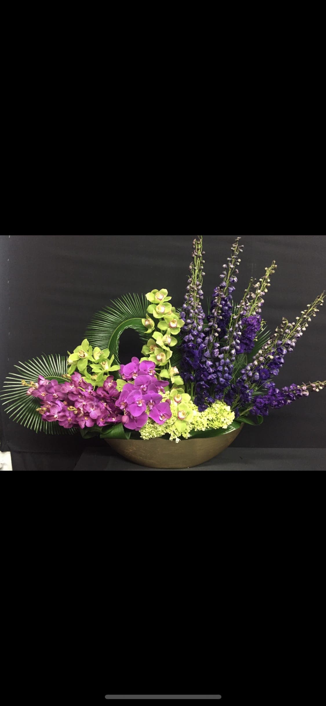 Orchid, delphinium  - Delphinium turn up