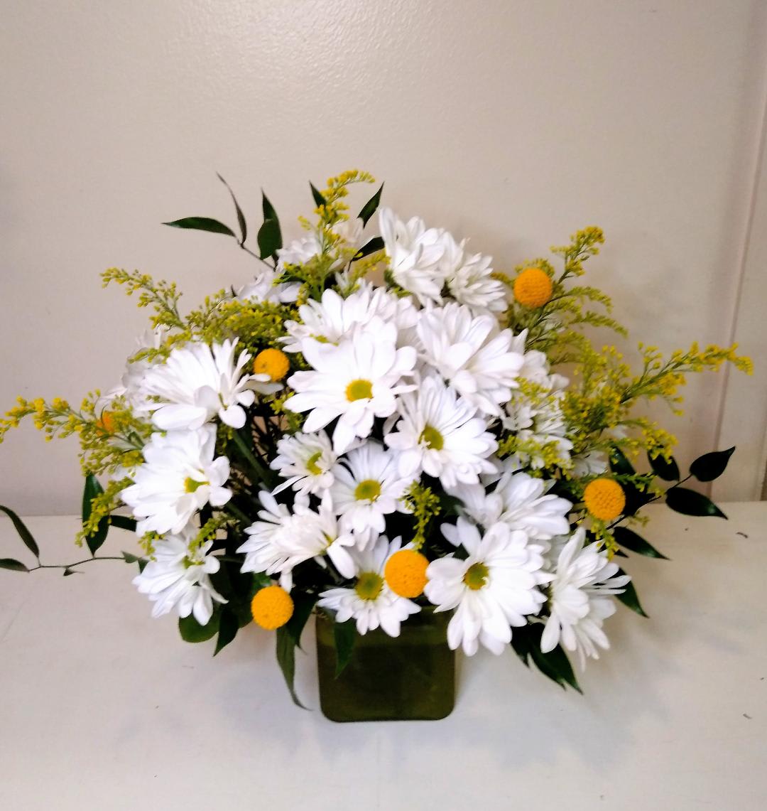 white daisy bouquet by blooming canyon in phoenix az blooming canyon