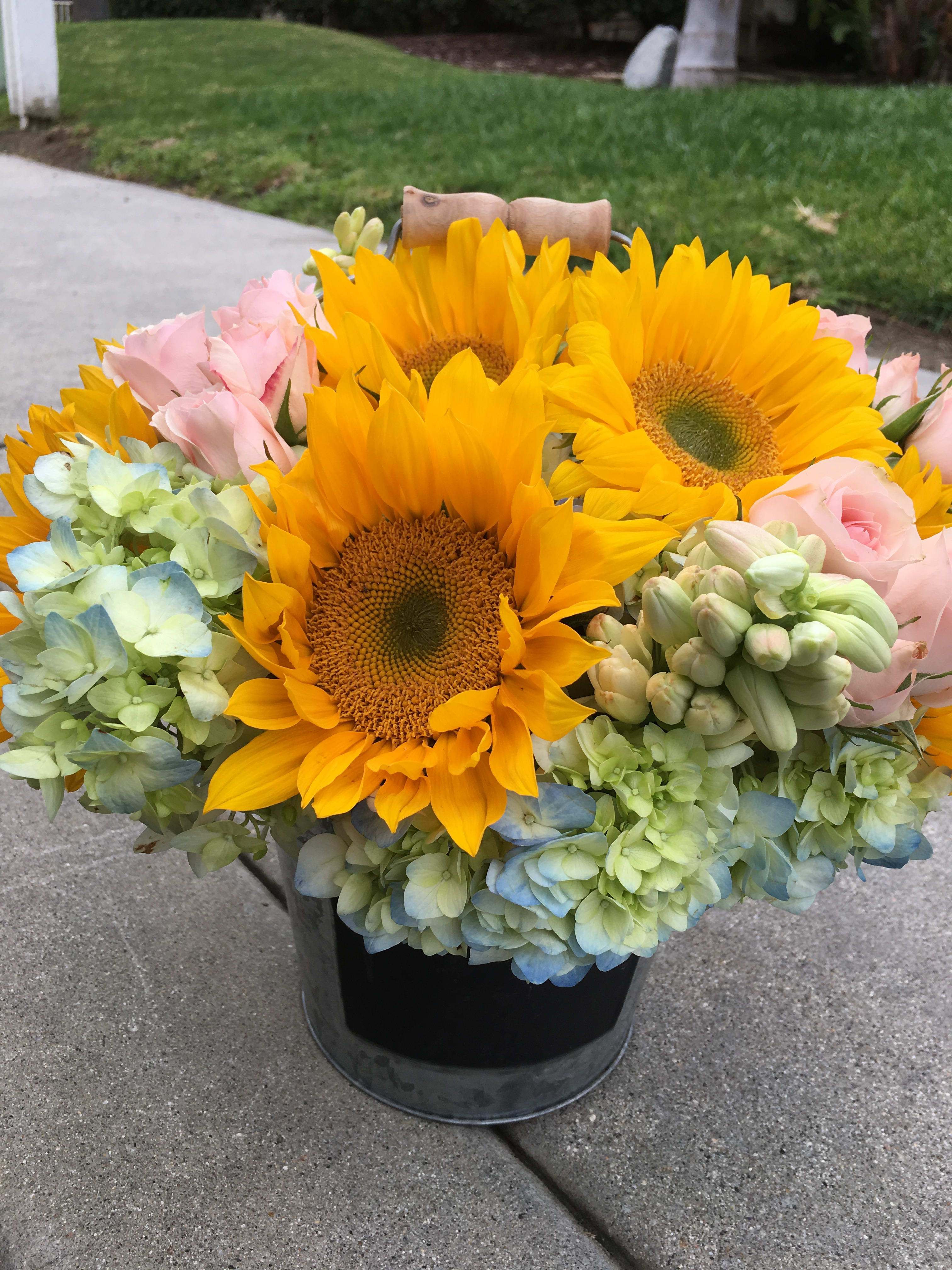 Sunflower ,hydragia  - Yellow,blue,pink 