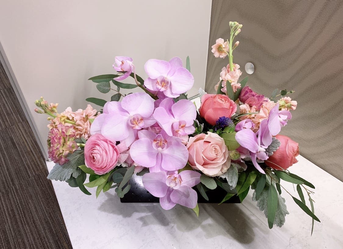 Orchids, Garden Roses, Roses, Stock Orchids, Garden Roses, Roses, Stock - Sophisticated and lovely