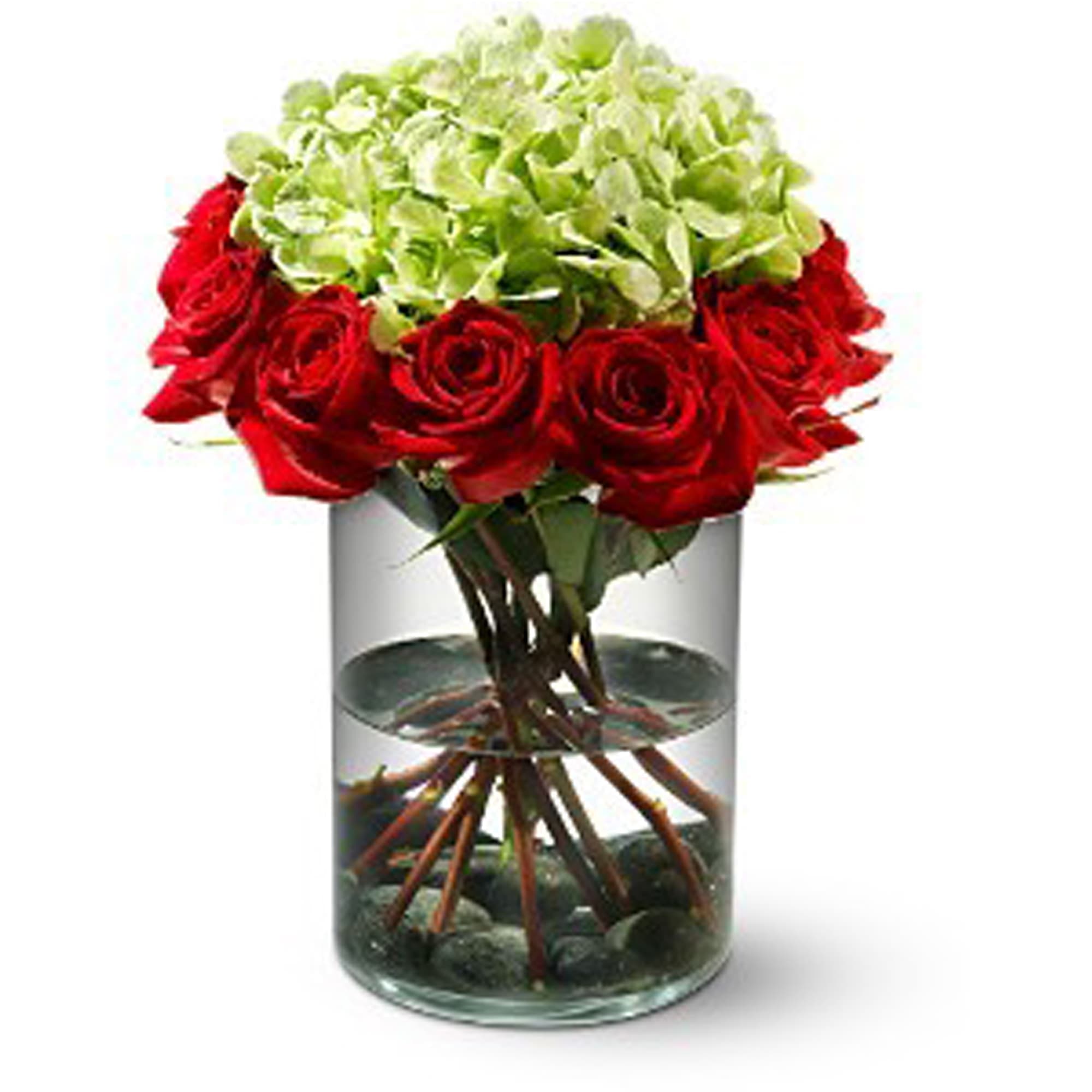 Ring of Fire - For a sophisticated and unexpected gift, choose this striking floral arrangement of fiery red roses - arranged in a ring around a cloud of fluffy green hydrangea and resting on a bed of black river rocks. It's sure to make an impression.    A dozen red roses and green hydrangea â plus black river rocks â are delivered in a glass cylinder vase.    Approximately 10&quot; (W) x 9&quot; (H)    Orientation: All-Around    As Shown : TFWEB117
