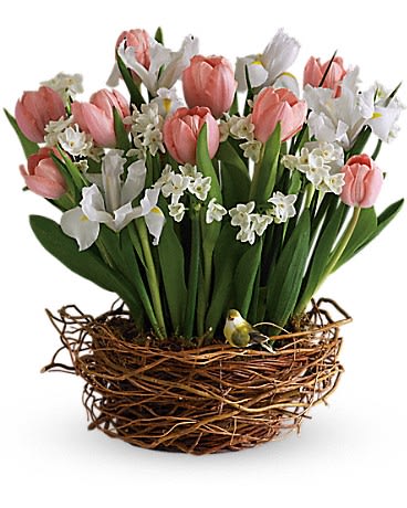 Tulip Song - As if a beautiful spring bouquet arranged in a nest-like woven basket wasn&#039;t cause enough for celebration this arrangement has even more! A beautiful yellow bird rests among its blossoms.