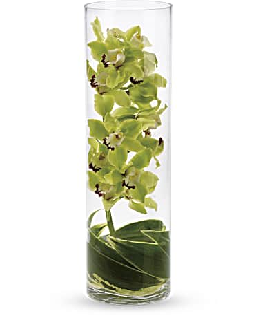 Zensational Zensational - Submerging orchids in water is a clear and beautiful way to display them; and this tall column vase filled with orchids – plus curly branches, leaves and a handful of river rocks – is a unique floral arrangement that will be lovely in any environment.
