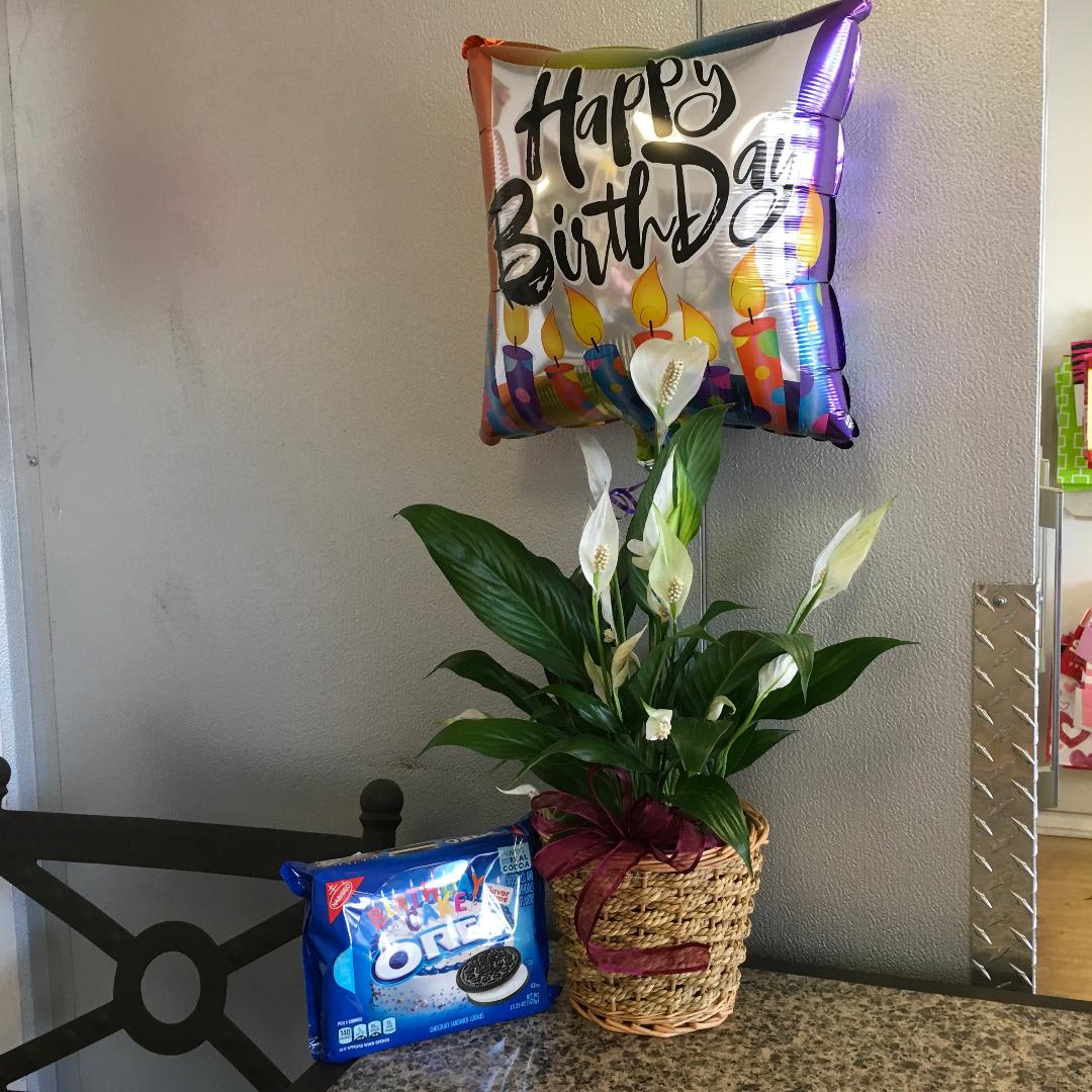 Birthday Plant Combo - As shown w/ Birthday Oreos &amp; Balloon