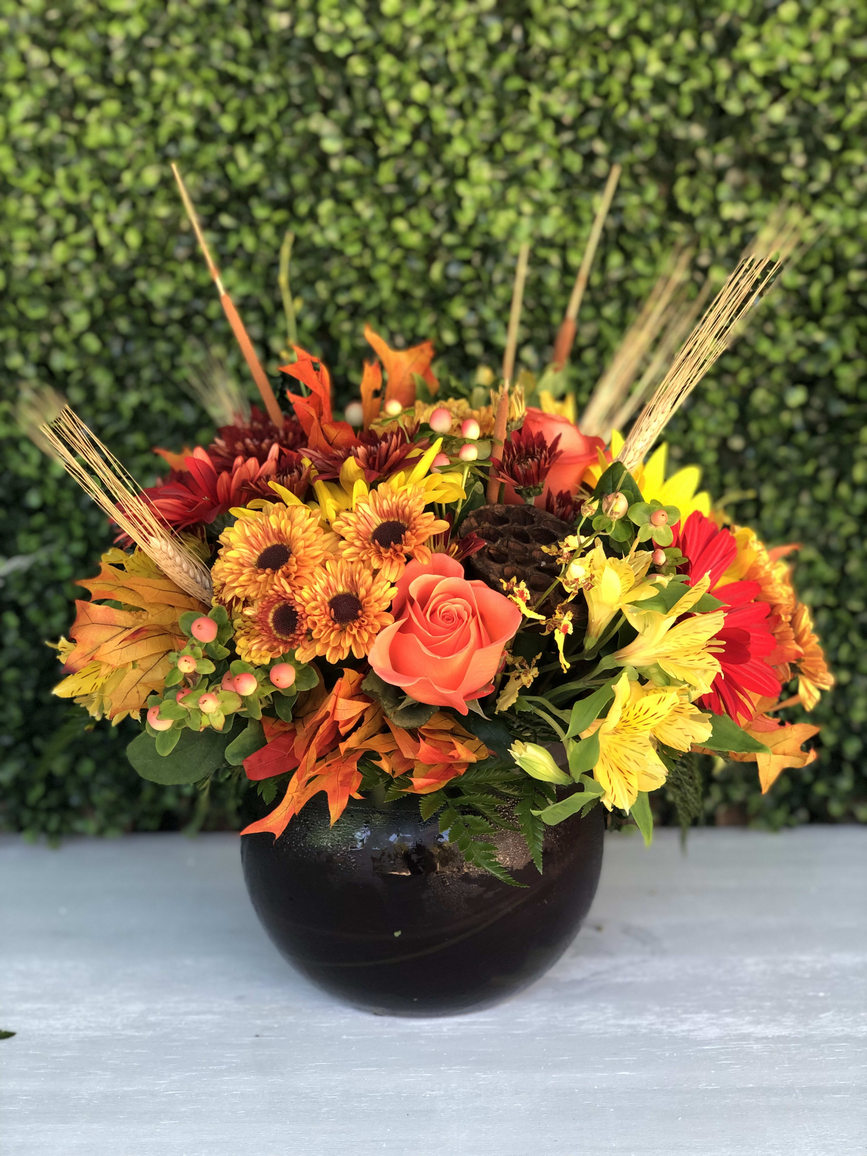 AUTUMN HAZE in Miami, FL | Hirni's Wayside Garden Florist, image size:3024x4032