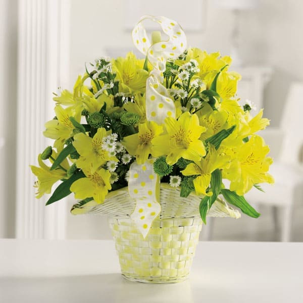Oh Baby! Basket Oh Baby! Basket - Welcome the new little one and share family joy with this sunshine basket brimming with alstroemeria and pompons.
