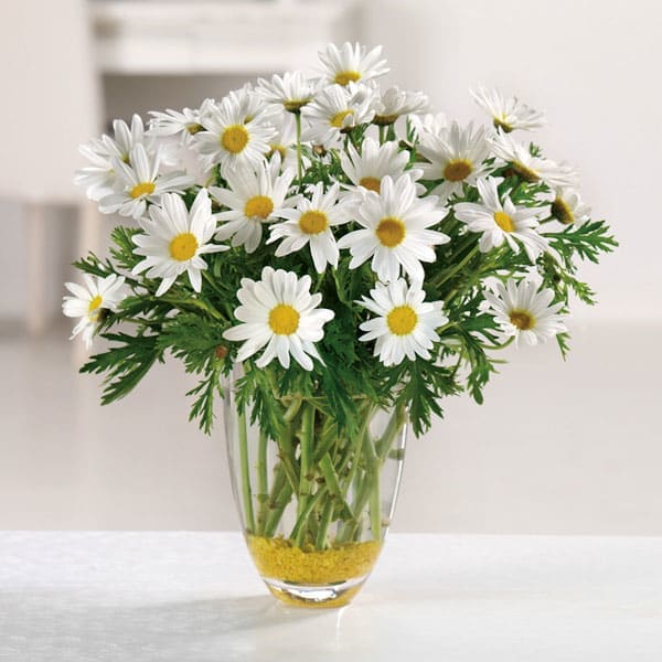 Daisy Daze - A sparkling glass vase overflowing with sun-kissed daisies is a sure-fire way to brighten anyone's day!