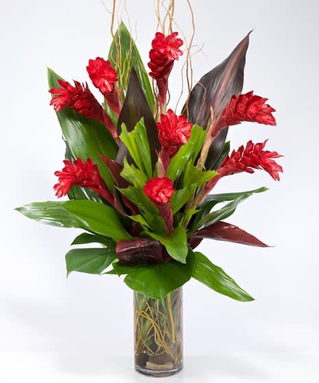 A Tropical Ginger in Miami, FL | Flowers To Go Miami