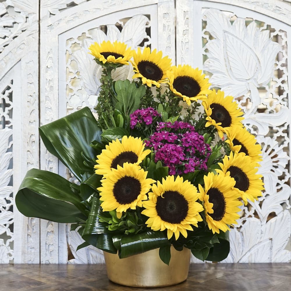 PEACE OF MIND In San Diego CA Wholesale Flowers