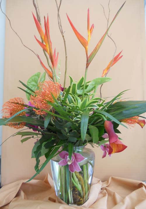 Safari Tropical Fusion Safari Tropical Fusion - Tropical Presentation with mini heliconia and antheriums from Hawaii and South America, team up with South Africa's national flower, the pin cushion protea. Together with interesting tropical foliage you have an awesome design. Please order three days in advance.